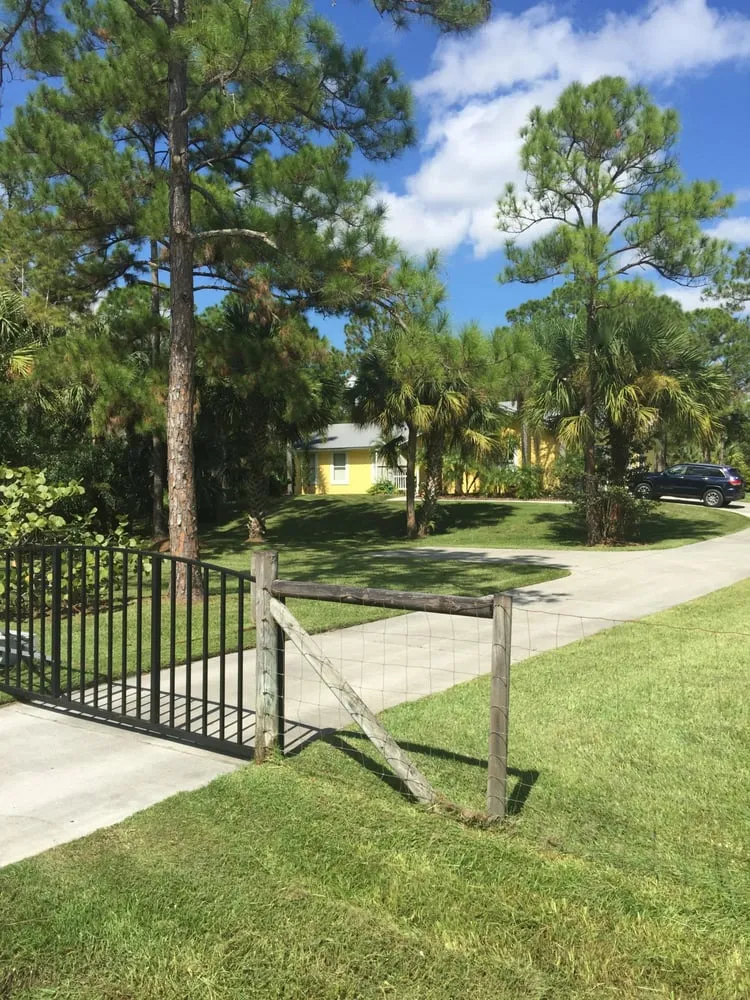 Professional yard cleanup service in Jupiter, FL by A J Lippiello Services