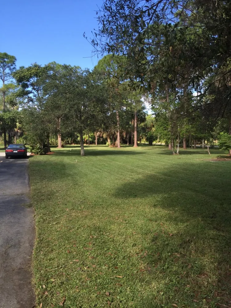 Top-rated yard cleanup service in Jupiter, FL by A J Lippiello Services