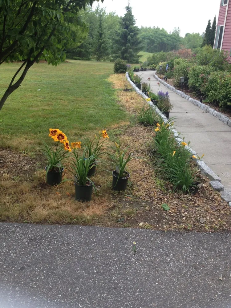 Custom yard maintenance for residential properties in Shrewsbury, MA by A J Property Care