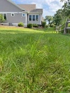 Local landscaping services in Pembroke, MA by A J Tomasi Nurserie