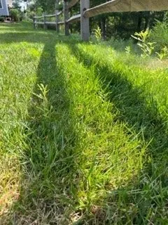 Professional yard cleanup service experts serving Pembroke, MA - A J Tomasi Nurserie