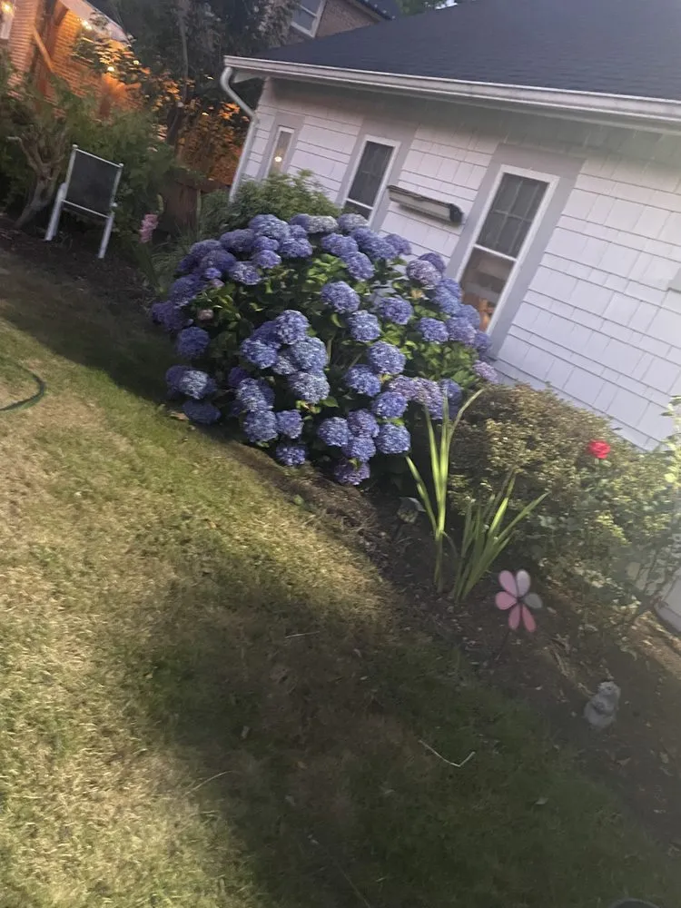 Local lawn mowing service with custom design across Spokane, WA - A J Yard Cleaning