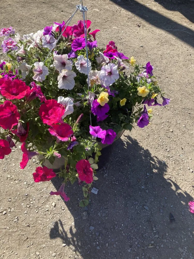 Top-rated lawn mowing service for homes across Spokane, WA - A J Yard Cleaning