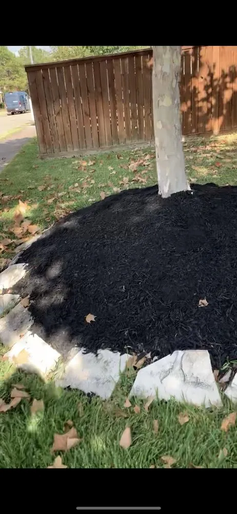 Expert lawn mowing service in Pearland, TX by A Jones Mulching & Landscaping