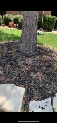 A Jones Mulching & Landscaping Logo