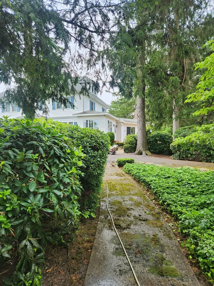 Custom garden landscaping in Dalton, PA by A k Lawn Care