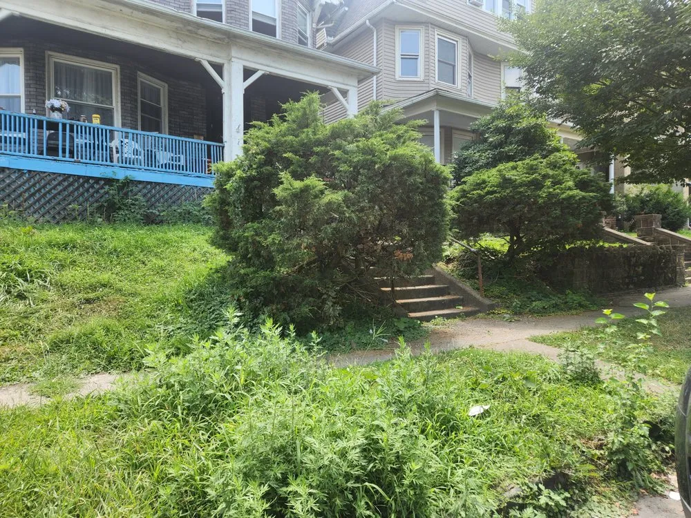 Affordable residential landscaping in Dalton, PA by A k Lawn Care