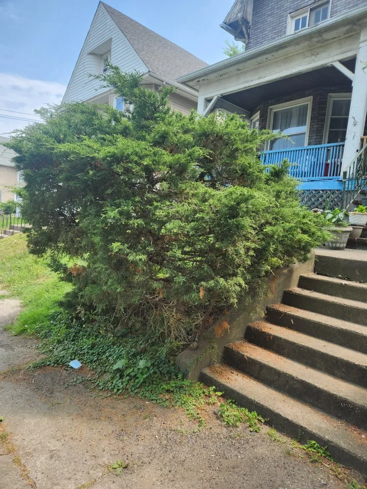 Local lawn mowing service for outdoor upgrades across Dalton, PA - A k Lawn Care