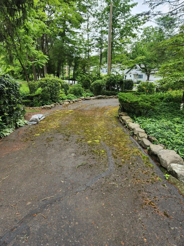 Reliable yard maintenance experts serving Dalton, PA - A k Lawn Care