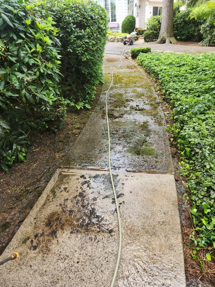 Local outdoor landscaping in Dalton, PA - A k Lawn Care