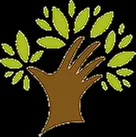 Expert landscaping services for homes in Ellisville, MO by A Kick in the Grass Lawn Service