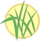 Professional yard maintenance for beautiful yards in Ellisville, MO by A Kick in the Grass Lawn Service