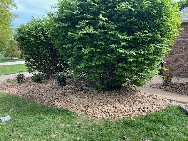 Trusted yard cleanup service for beautiful yards across Ellisville, MO - A Kick in the Grass Lawn Service