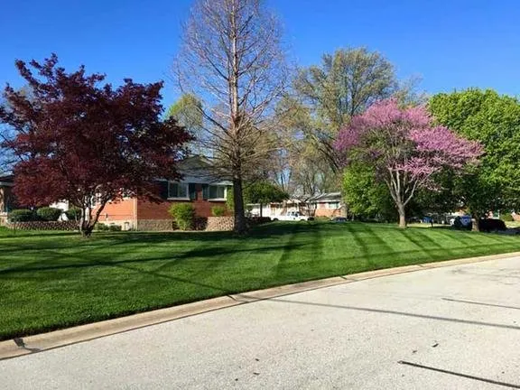 Local lawn care service with custom design in Ellisville, MO by A Kick in the Grass Lawn Service