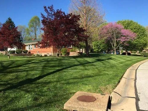 Reliable yard cleanup service for outdoor upgrades across Ellisville, MO - A Kick in the Grass Lawn Service