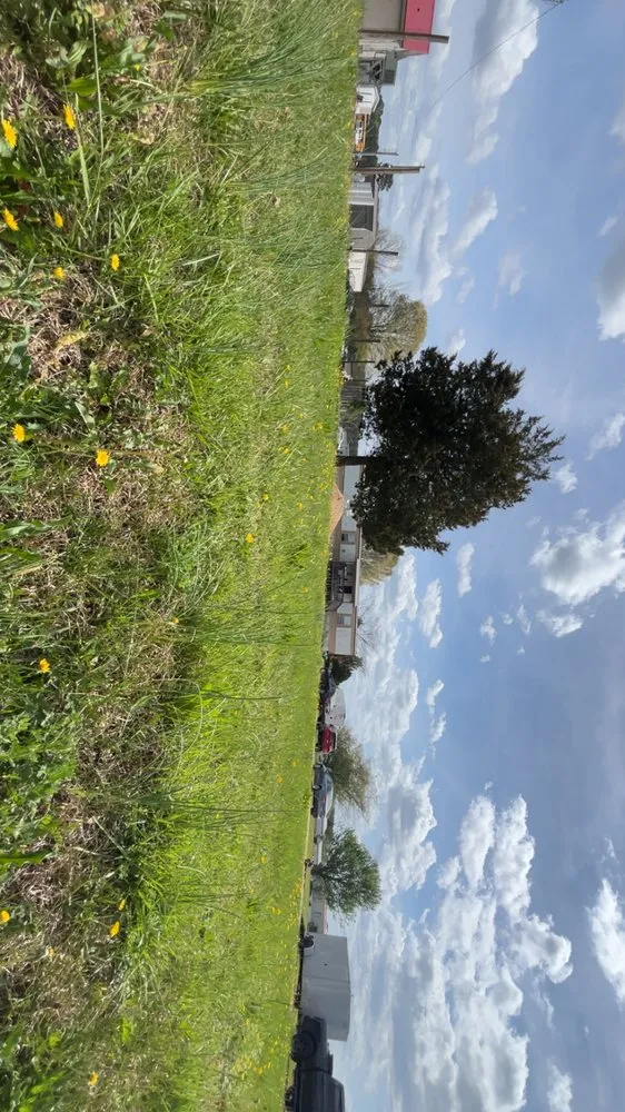 Professional landscaping services with custom design across Washington, NC - A Kid And His Tools