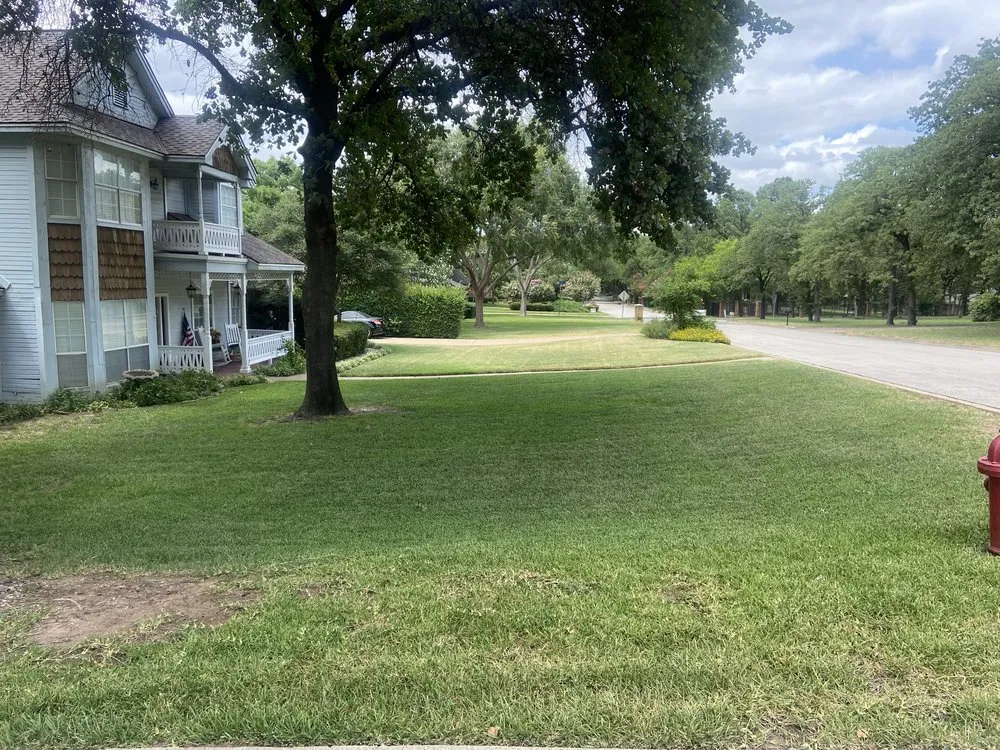 Professional yard cleanup service in Justin, TX - A Kut Above