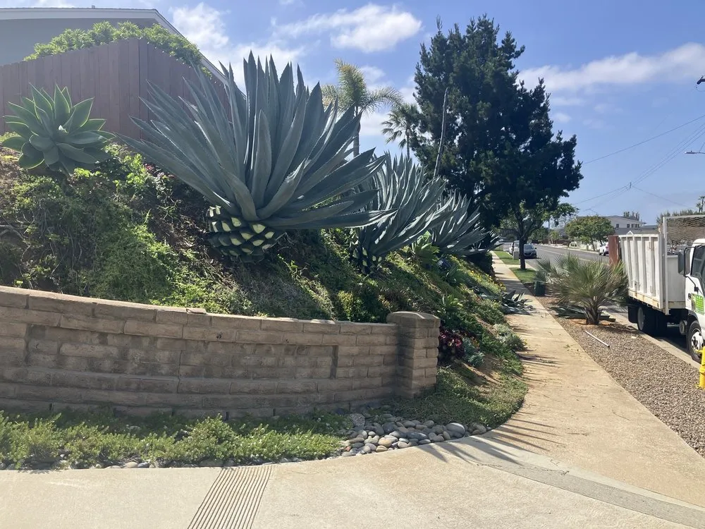 Professional outdoor landscaping for homes across Encinitas, CA - A L landscape