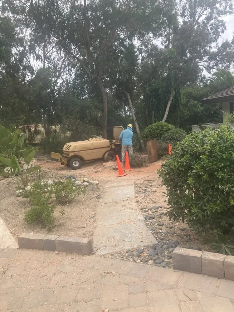 Custom yard cleanup service for beautiful yards across Encinitas, CA - A L landscape