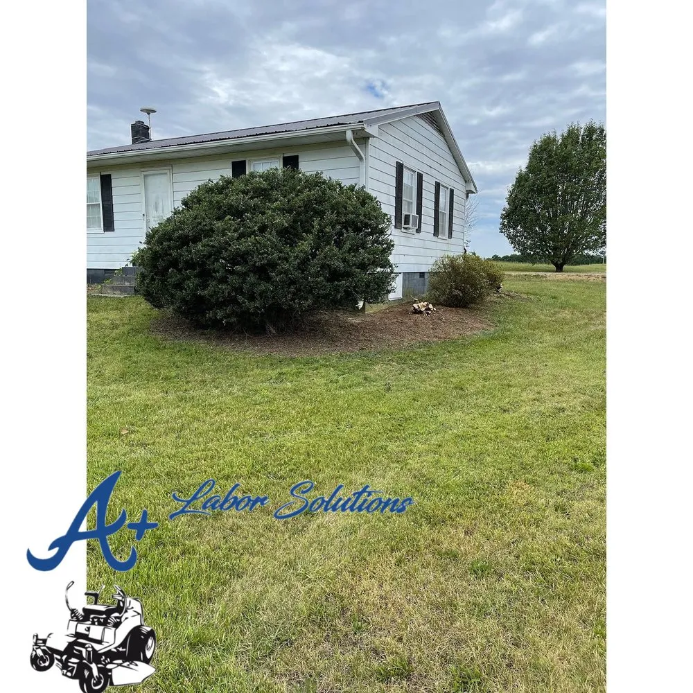 Reliable yard cleanup service in Graham, NC by A Labor Solutions