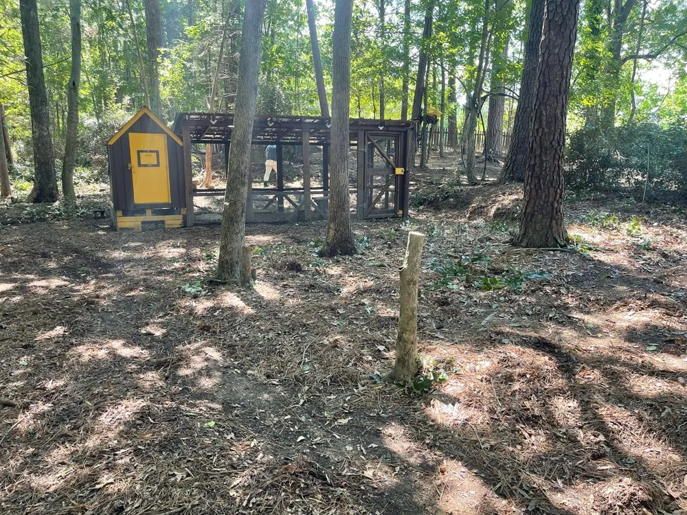 Expert residential landscaping in Graham, NC by A Labor Solutions