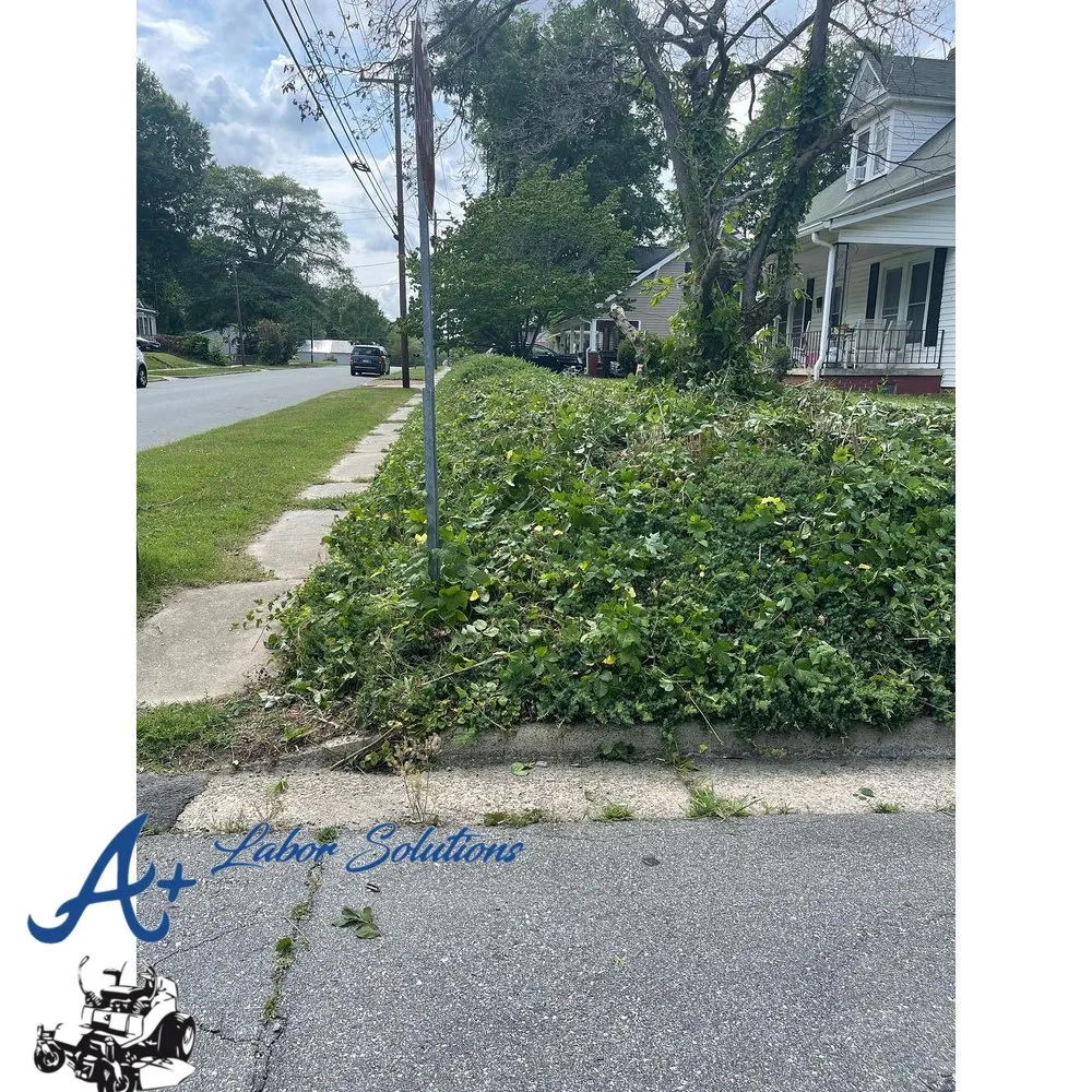 Trusted landscape design in Graham, NC - A Labor Solutions