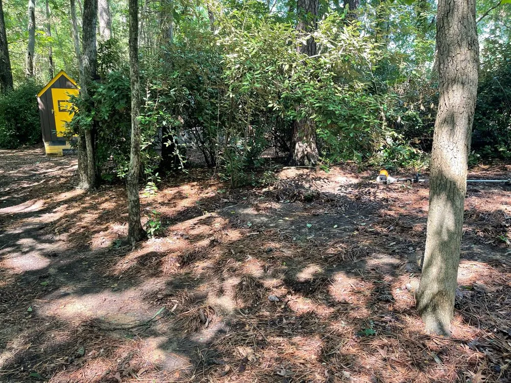 Top-rated yard cleanup service for residential properties across Graham, NC - A Labor Solutions