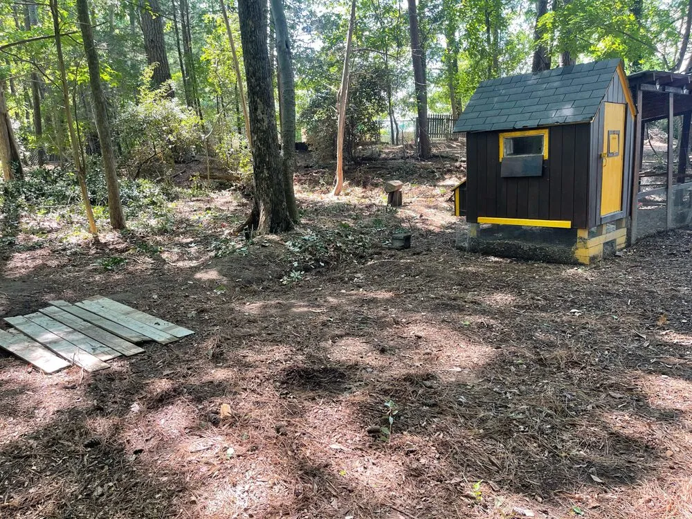 Trusted yard cleanup service in Graham, NC - A Labor Solutions