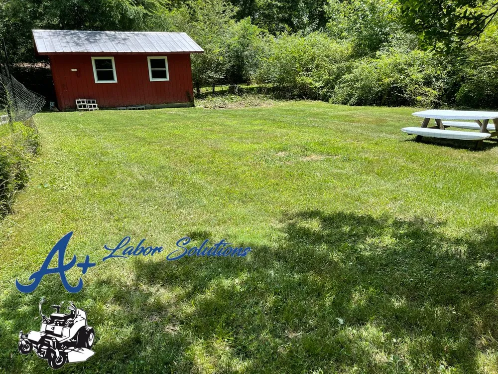 Affordable lawn mowing service near you in Graham, NC by A Labor Solutions