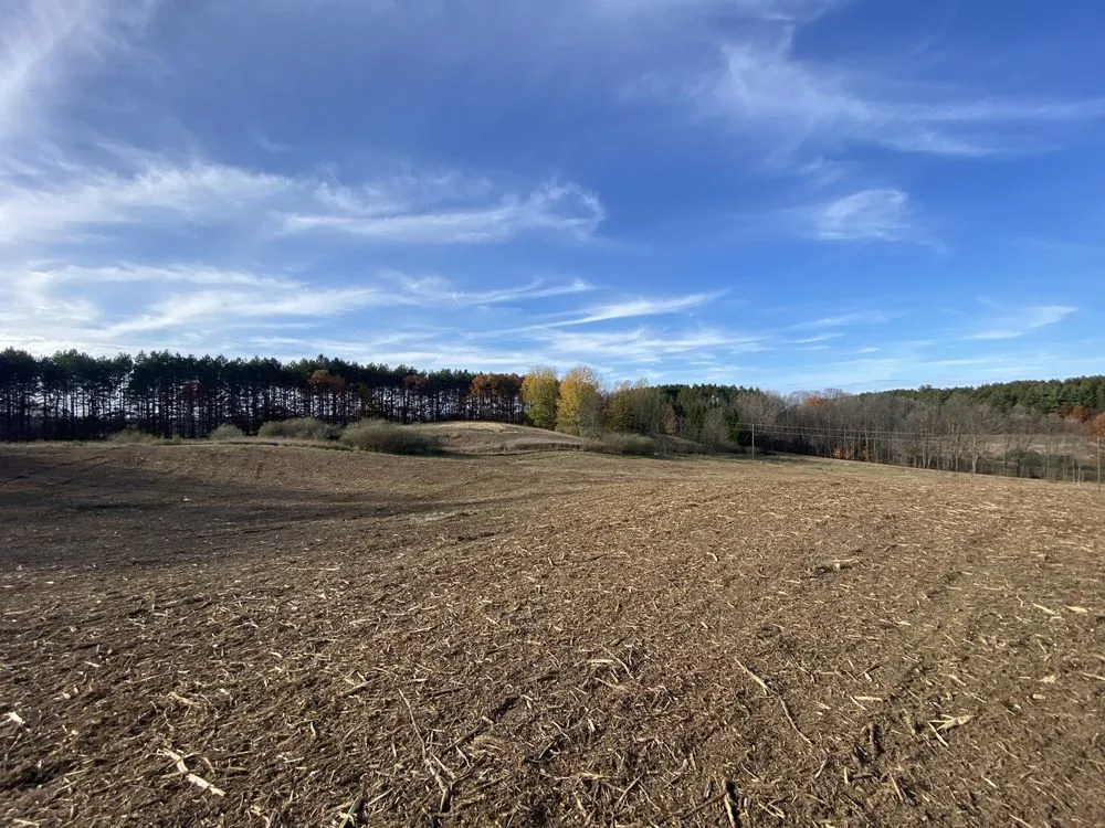 Reliable landscape design for homes across Bear Lake, MI - A+ Land Clearing