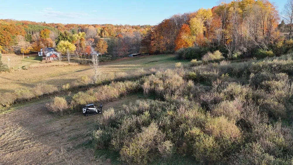 Reliable residential landscaping experts serving Bear Lake, MI - A+ Land Clearing