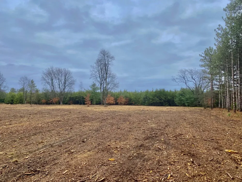Expert lawn care service experts serving Bear Lake, MI - A+ Land Clearing