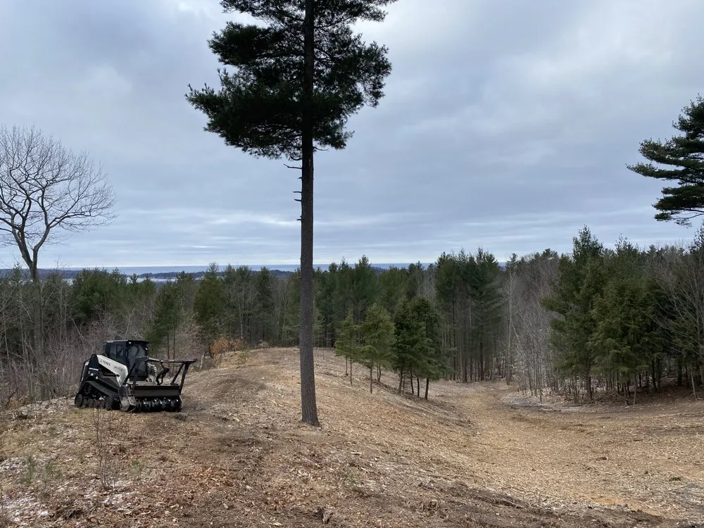 Custom yard cleanup service for homes across Bear Lake, MI - A+ Land Clearing