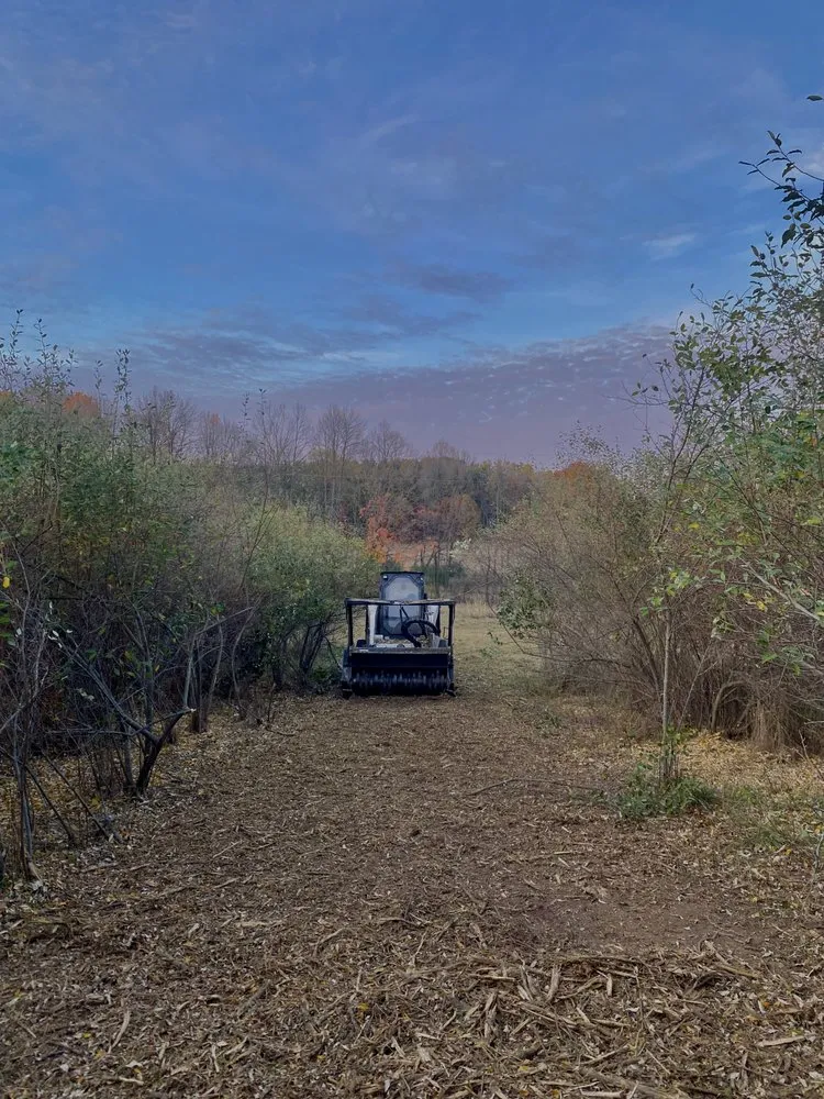 Professional landscaping services for residential properties across Bear Lake, MI - A+ Land Clearing