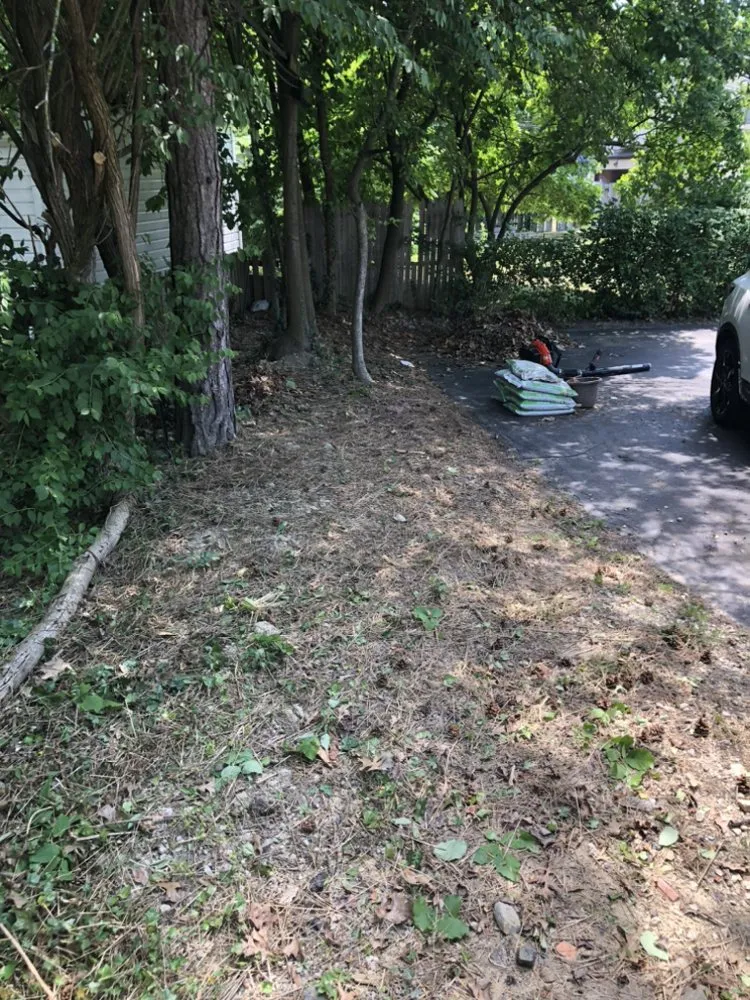 Top-rated outdoor landscaping experts serving Mayfield Heights, OH - A+ Land Management