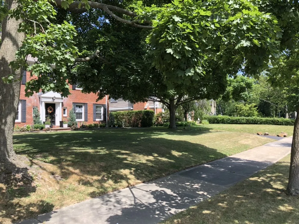 Professional residential landscaping in Mayfield Heights, OH - A+ Land Management