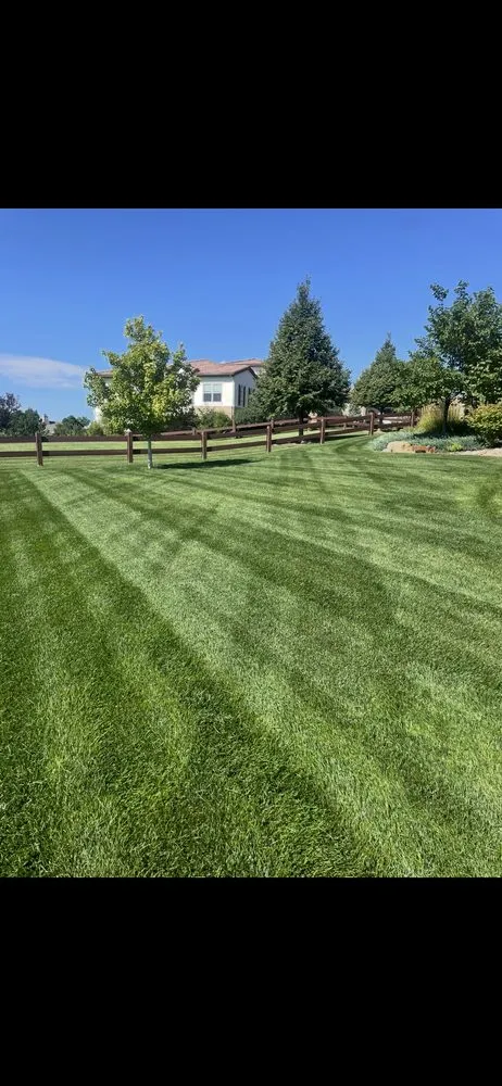 Professional garden landscaping for year-round maintenance across Loveland, CO - A Landscape