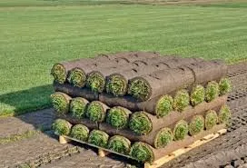 Expert landscape design in Irving, TX by A+ Landscaping & Services