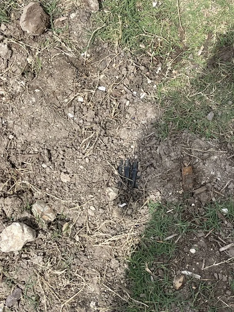 Reliable yard cleanup service experts serving Irving, TX - A+ Landscaping & Services