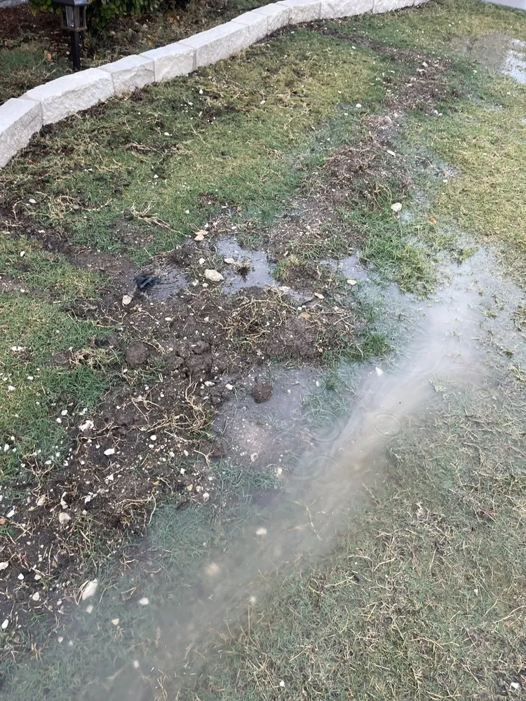 Expert yard cleanup service for year-round maintenance across Irving, TX - A+ Landscaping & Services