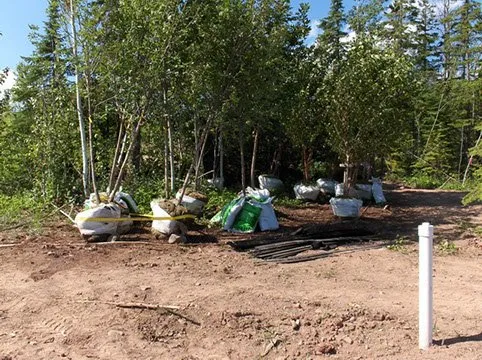 Local landscape design near you in Bandera, TX by A Landscaping Artist