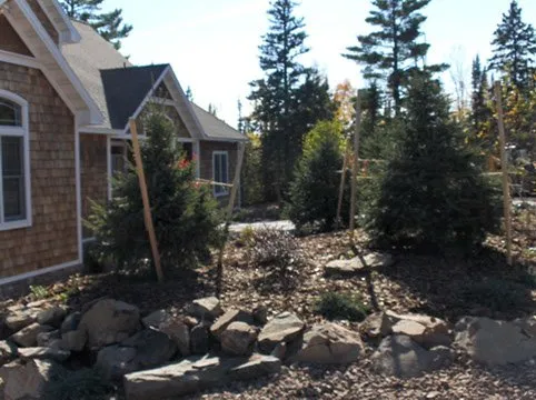 Custom outdoor landscaping for residential properties in Bandera, TX by A Landscaping Artist