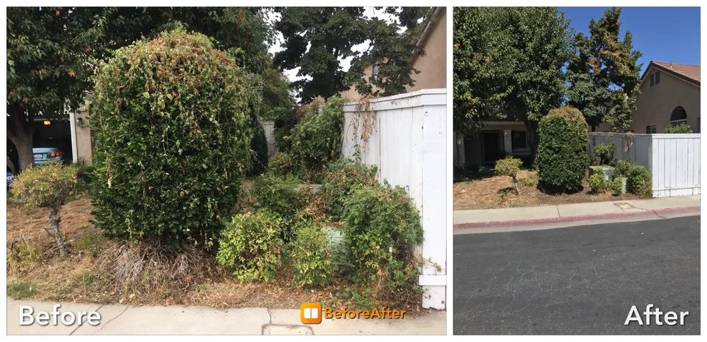 Top-rated yard maintenance with custom design in Fresno, CA by A Landscaping Co.