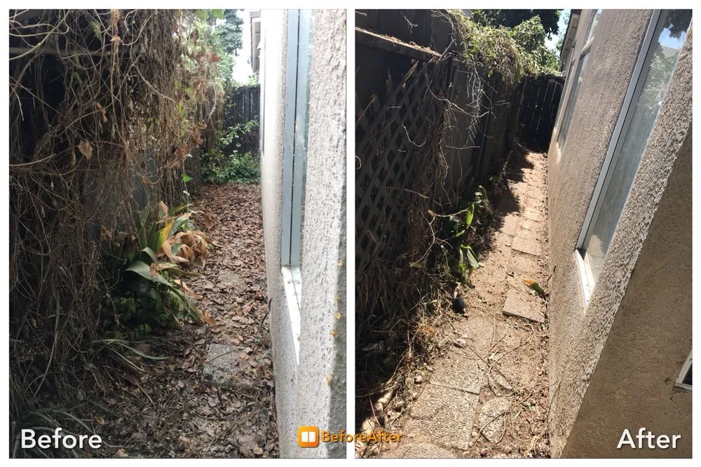 Top-rated landscaping services in Fresno, CA - A Landscaping Co.