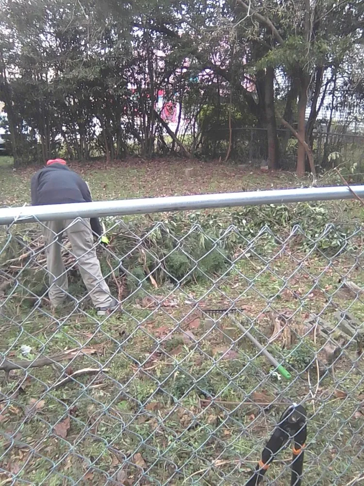 Custom yard cleanup service near you across Gaston, SC - A+ Landscaping