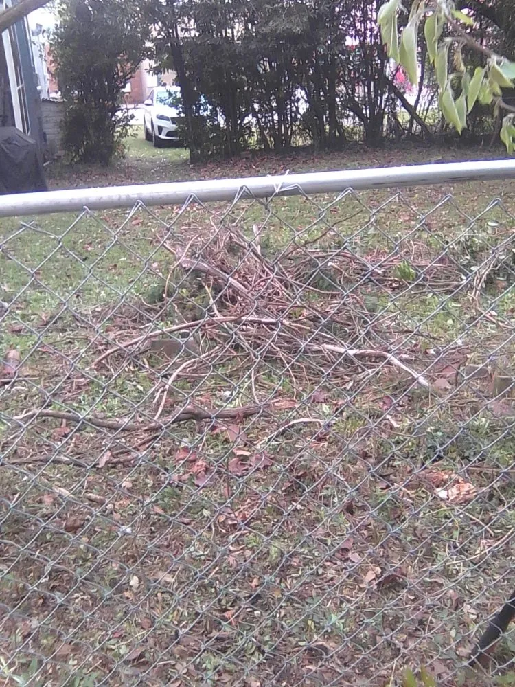 Top-rated lawn mowing service near you across Gaston, SC - A+ Landscaping