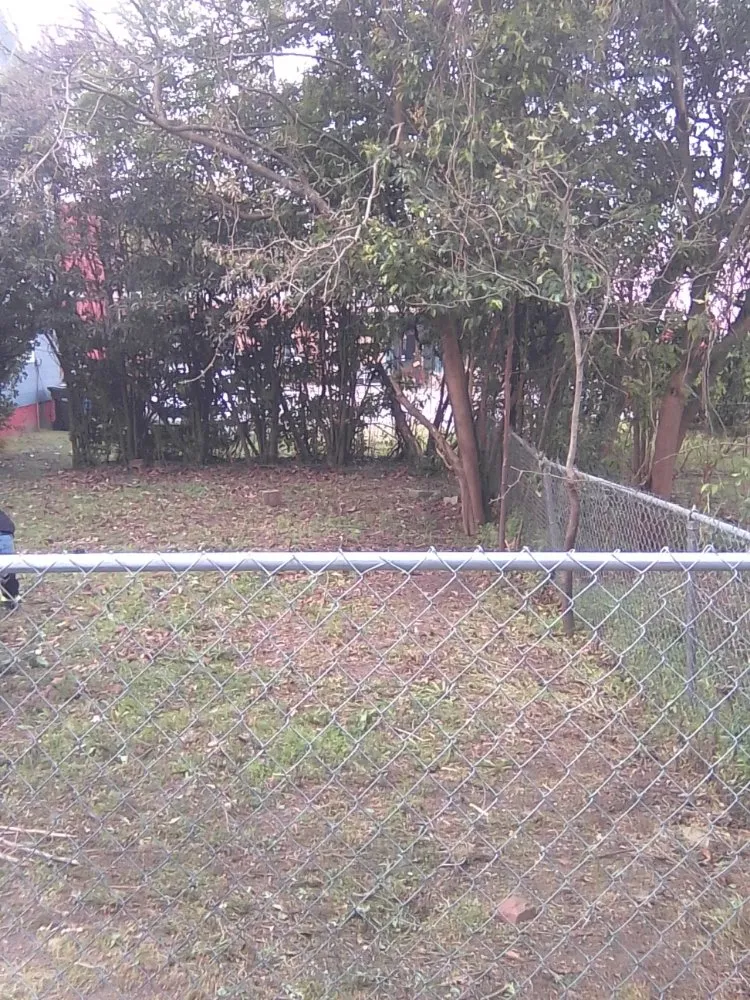 Professional residential landscaping for year-round maintenance across Gaston, SC - A+ Landscaping