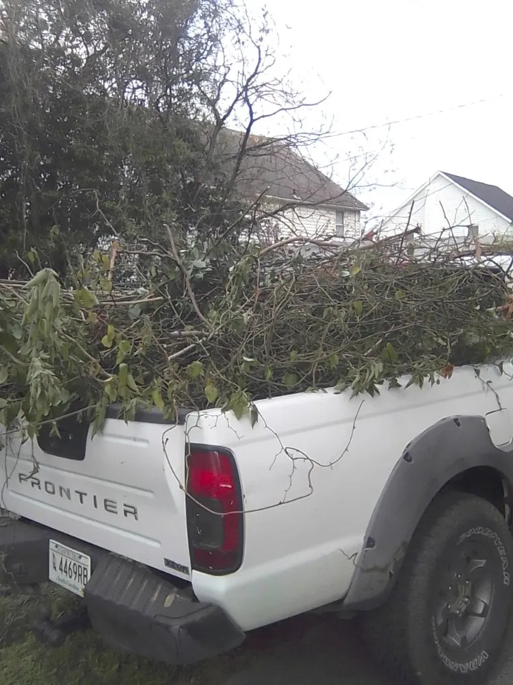 Expert yard maintenance in Gaston, SC - A+ Landscaping