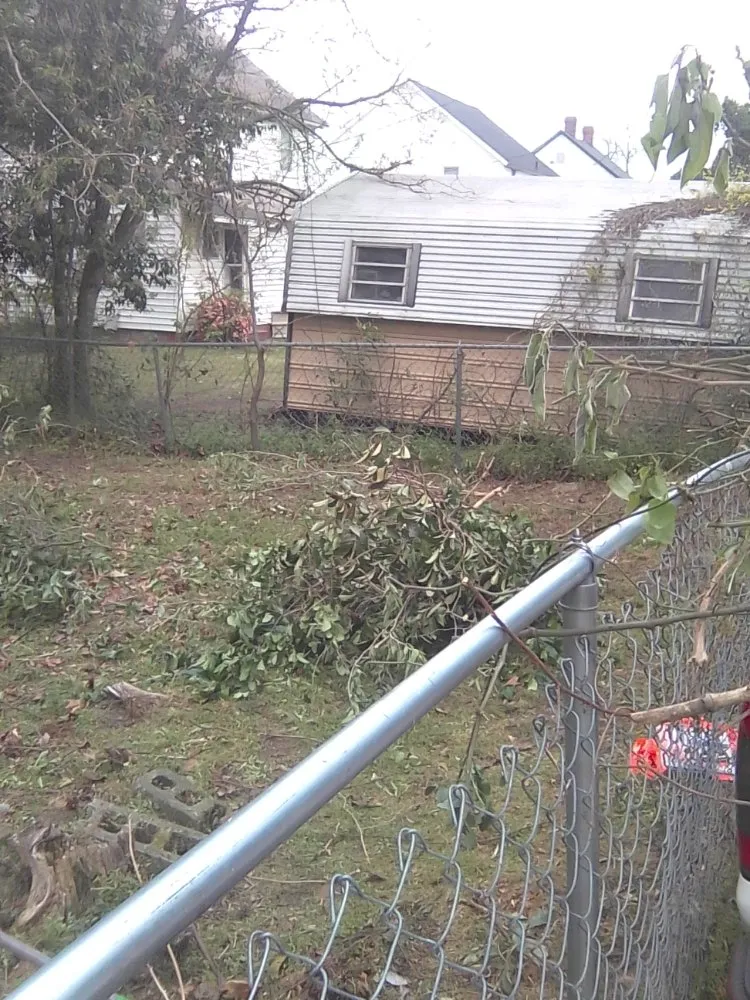 Expert lawn care service for residential properties in Gaston, SC by A+ Landscaping