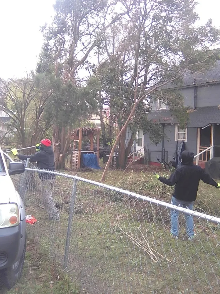 Reliable outdoor landscaping for outdoor upgrades in Gaston, SC by A+ Landscaping